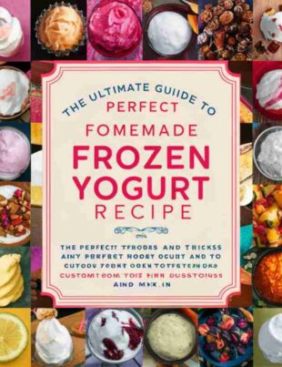 Frozen Yogurt Recipe